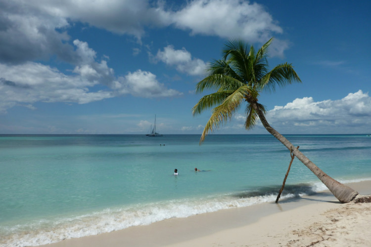 O que fazer em Punta Cana em 2023: os 7 melhores passeios