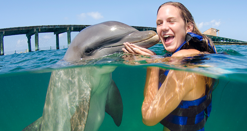 o que fazer em punta cana nado com golfinhos dolphin explorer