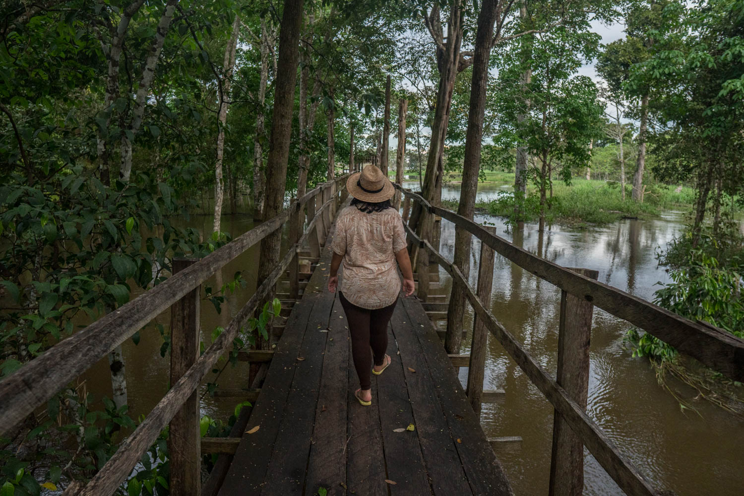 cruzeiro pelo rio amazonas