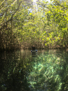 parques em Cancún e Riviera Maya